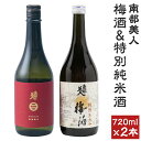 【ふるさと納税】南部美人 梅酒＆特別純米酒セット 720ml×各1本 合計2本 ギフト箱入り 飲み比べ 詰め合わせ お酒 日本酒 リキュール 送料無料