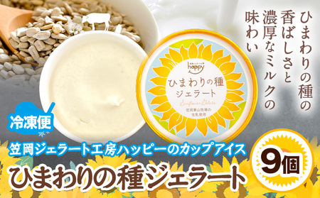 ひまわりの種ジェラート 9個セット　アイス
