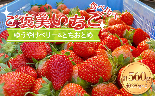 【ご褒美いちご】「ゆうやけベリー」「とちおとめ」の食べ比べセット 約280g×2パック  いちご イチゴ 苺 デザート フルーツ 果物 くだもの 果実 食品 F20C-987