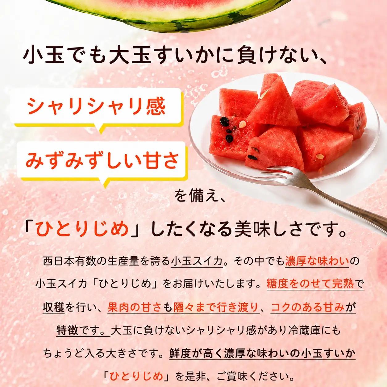 紀州和歌山産小玉スイカ「ひとりじめ」２玉【予約】※2026年6月上旬頃～7月上旬頃に順次発送予定(お届け日指定不可) スイカ すいか 果物【uot779A】