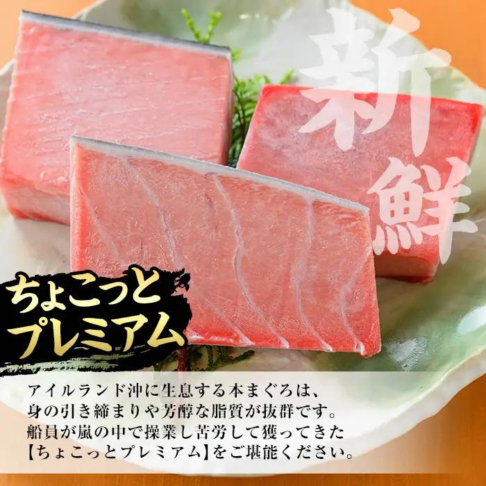 【お中元】天然! 本マグロ 300g（大トロ 100g 中トロ 100g 赤身 100g）☆ちょこっとプレミアム☆  真空 冷凍 希少 な 本まぐろ のフルセット  刺身 小分け プチ贅沢 【00-0