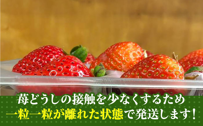 【2025年2月1日より順次発送】農家直送 朝採り新鮮いちご【博多あまおう】約270g×4《築上町》【株式会社H&Futures】 [ABDG004] 12000円  12000円 