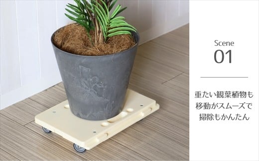 カラー：ラベンダー（パープル）