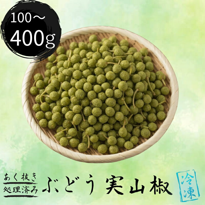 【ふるさと納税】 あく抜き処理済冷凍実山椒100g～400g 和歌山県産 / 山椒 さんしょう 香辛料 調味料 薬味 冷凍 和歌山県 紀美野町 料亭【twn024】