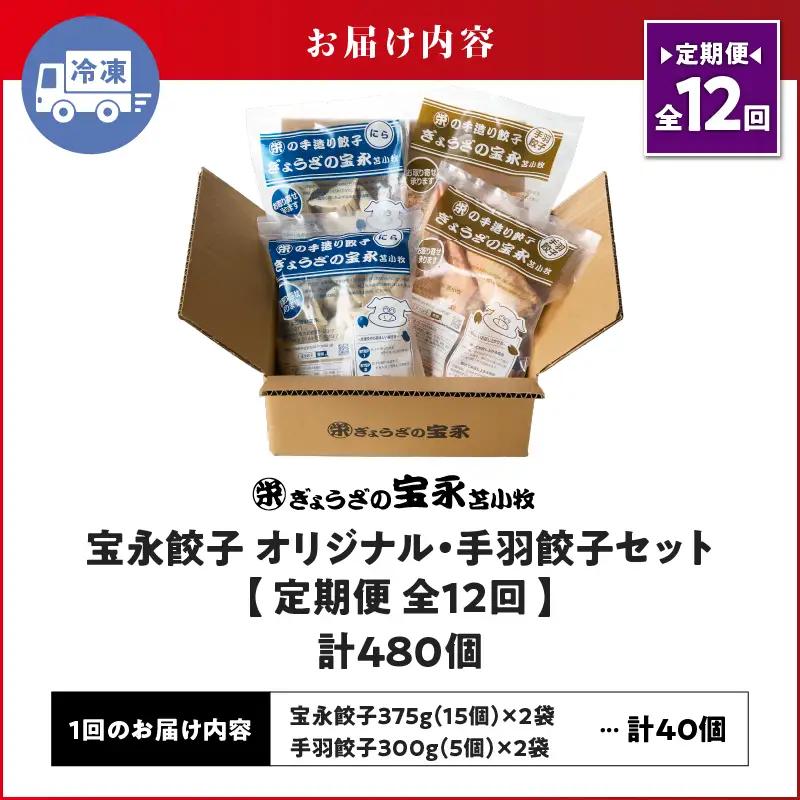 【定期便・全12回 毎月】手包み餃子 ぎょうざの宝永 手羽餃子40個セット（宝永餃子15個入×2袋・手羽餃子5個入×2袋） T004-T06-02-05 定期便 定期 惣菜 総菜 餃子