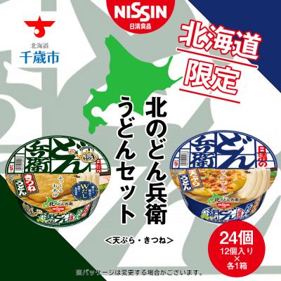 ふるさと納税 千歳市 日清　北のどん兵衛　うどんセット<天ぷら・きつね>各1箱・合計2箱