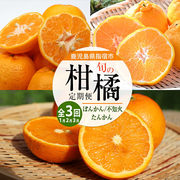 【ふるさと納税】＜定期便！全3回＞みかん尽くし定期便(ぽんかん、不知火、たんかん)旬の果物をお届け！ 鹿児島 ぽんかん ポンカン 不知火 たんかん みかん 柑橘 フルーツ 果物 家庭用 定期便【迫田果樹園】