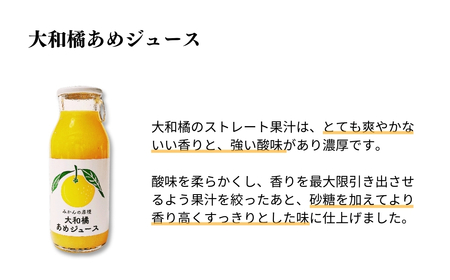 大和橘あめジュース 10本入り ならBonbon 奈良県 奈良市 なら 16-003