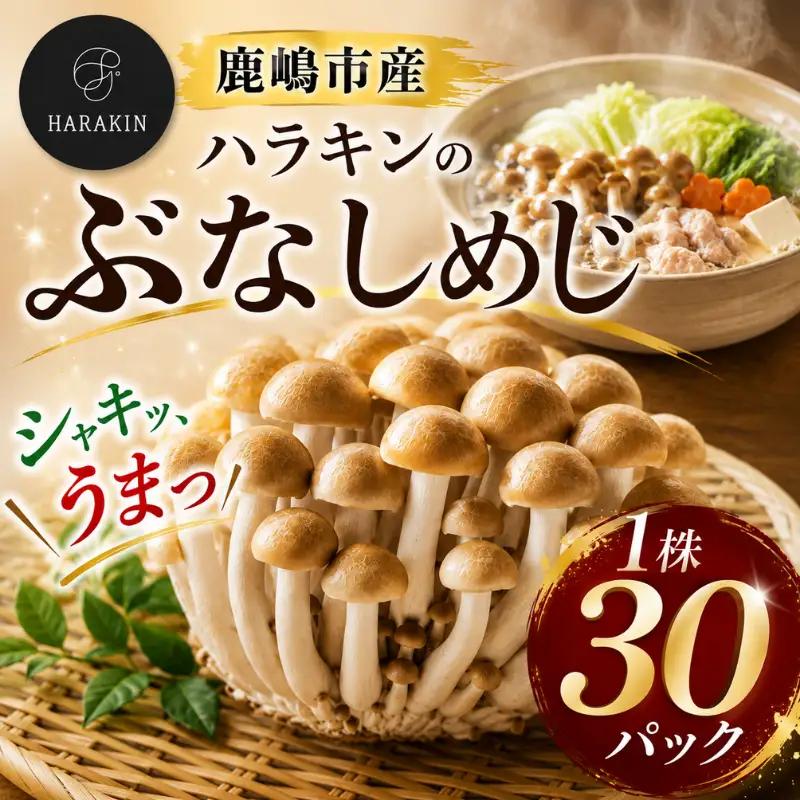 歯ごたえ抜群！ブナシメジ　KL-2