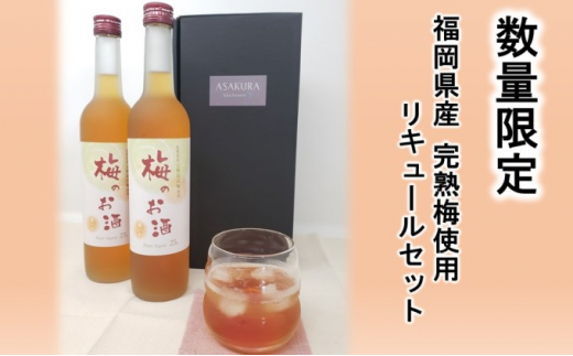 
【数量限定】梅のお酒 500ml×2本セット
