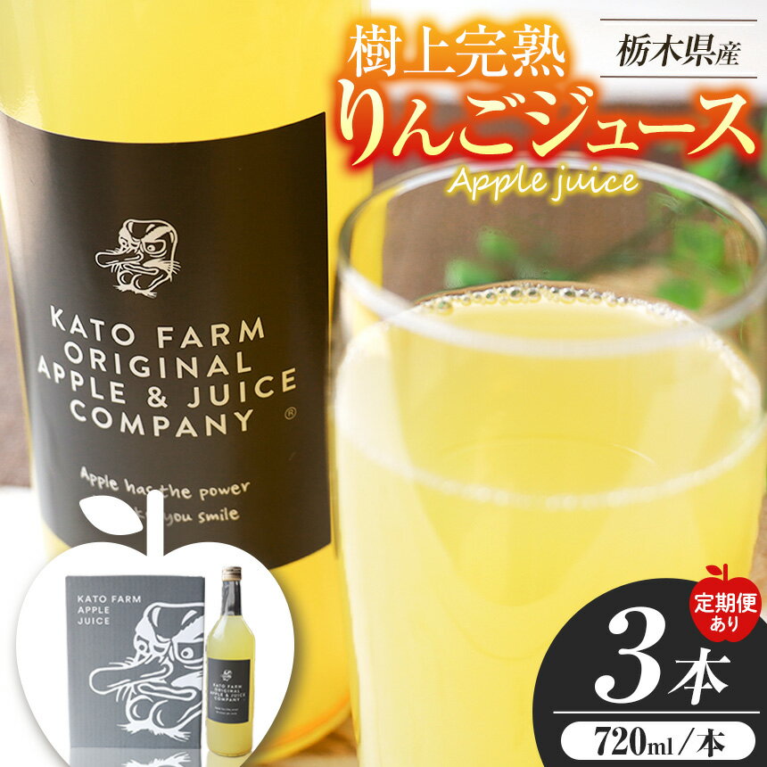 【ふるさと納税】【選べる発送回数】栃木県矢板市産 樹上完熟100％りんごジュース 720ml×3本入 | 100％ジュース ストレートジュース 国産ジュース 無添加 無加糖 りんご 果汁100 お取り寄せジュース 高級ジュース 自然の甘さ 美味しいジュース 栃木県 矢板市