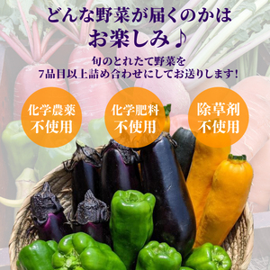 【先行予約】旬のお野菜セット 詰め合わせ （7～10品目） 旬 野菜 国産 こだわり 京都府産 京丹波町産 季節 セット 有機肥料 化学農薬不使用 化学肥料不使用 除草剤不使用 おいしい おすすめ 一