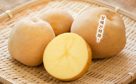 【令和8年産】しんや農園のじゃがいも「とうや5kg & 男爵5kg」 計10kg 野菜 旬の野菜 北海道産 北海道野菜 国産 国産野菜 グルメ 食材 ポテト 北海道産じゃがいも 食べ比べ 煮崩れしにく