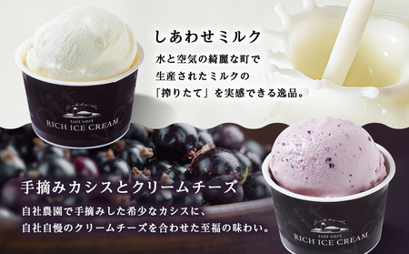 リッチアイスクリーム 8個セット（100ml）【 4種 × 各2個】アイス スイーツ おやつ 冷凍 食べ比べ