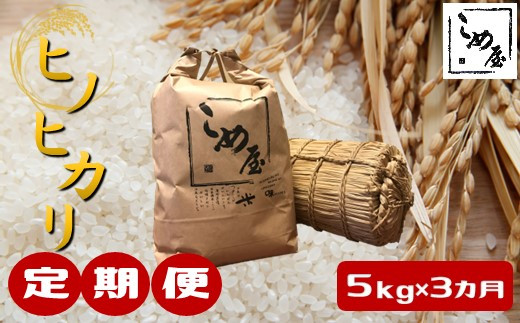 
【定期便3回】熊本県産「ヒノヒカリ」5kg×3カ月
