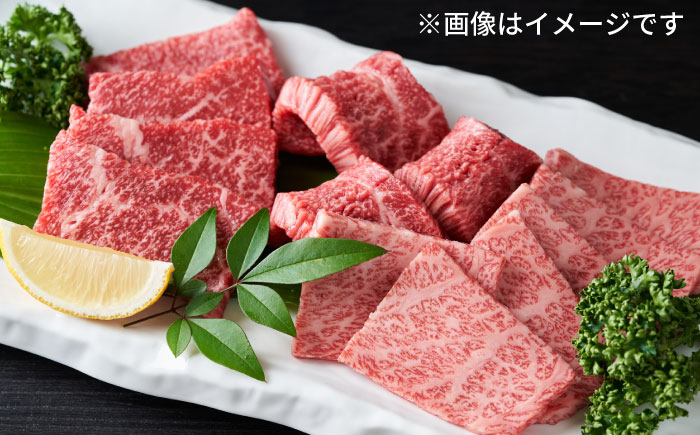 【和牛の旨味を堪能！】博多和牛 焼肉用 500g《築上町》【株式会社MEAT PLUS】 [ABBP012] 17000円  17000円 