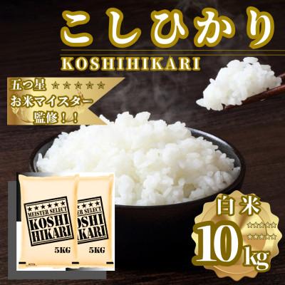 ふるさと納税 佐賀県 令和7年産こしひかり 白米 10kg(5kg×2袋)　41ANAD038(佐賀県)