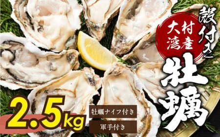 大村湾産 殻付き 牡蠣 加熱用 Aセット 約2.5kg ダイダイ2個付き ナイフ・軍手付き 長崎 カキ かき 冷蔵 【2026年2月下旬迄順次発送予定】