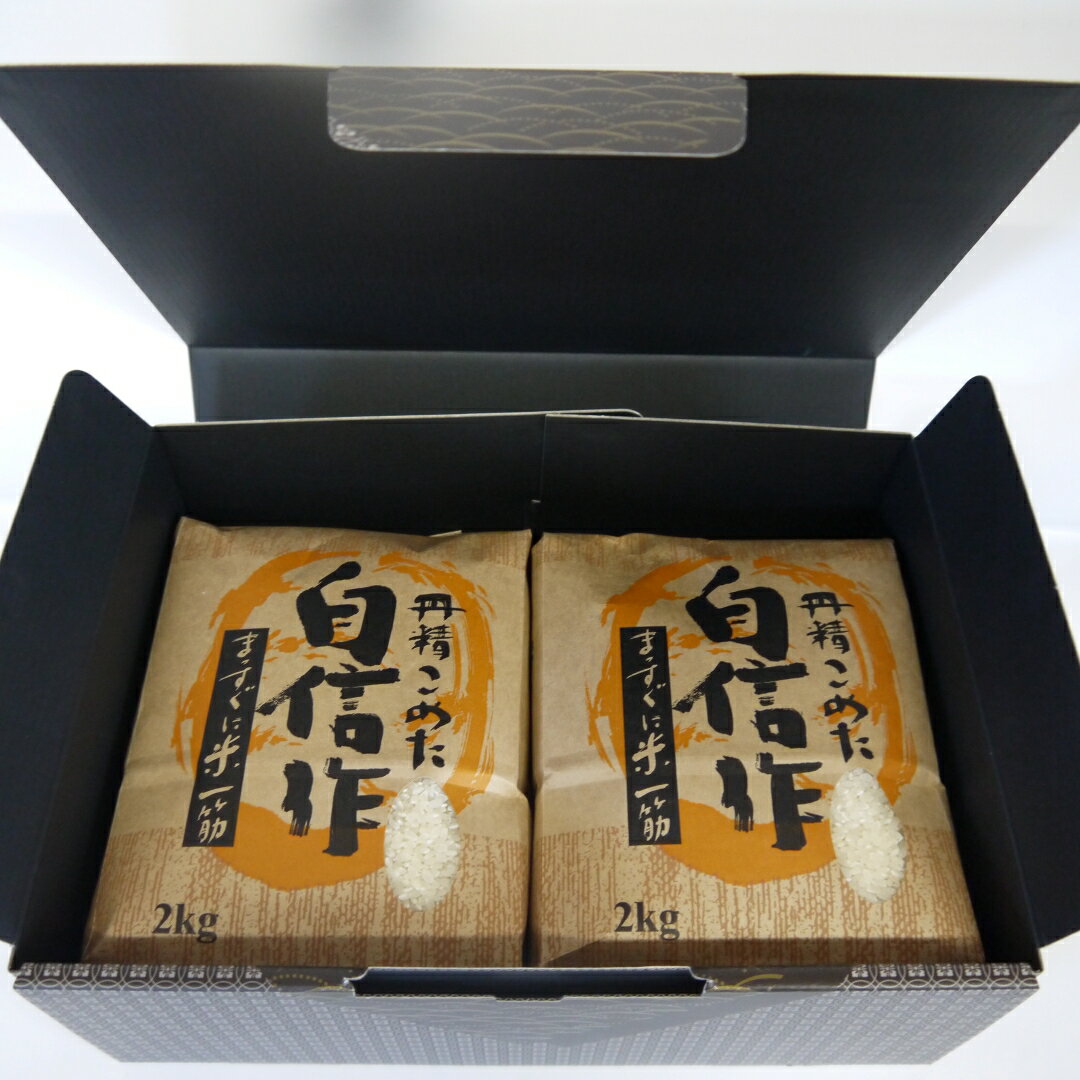 【ふるさと納税】【令和7年産】米 コシヒカリ 2kg 2袋 計4kg 化粧箱入り 佐渡高千産 精米 白米 げんげん栽培 海岸棚田 ごはん おにぎり 贈答 新潟県 佐渡市