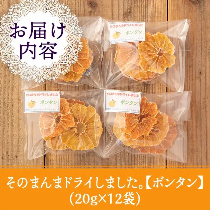 isa570 《数量限定》ドライフルーツボンタン「そのまんまドライしました。」(計12袋・各20g) ドライフルーツ ボンタン 砂糖不使用 小分け 手づくり ギフト 加工食品 果物 フルーツ ハンドメ