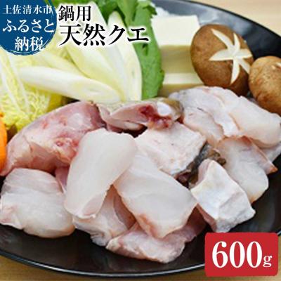 ふるさと納税 土佐清水市 【冷凍】簡単鍋用 天然クエ 600g (2〜3人前) 海鮮鍋 高級魚 しゃぶしゃぶ【R00571】