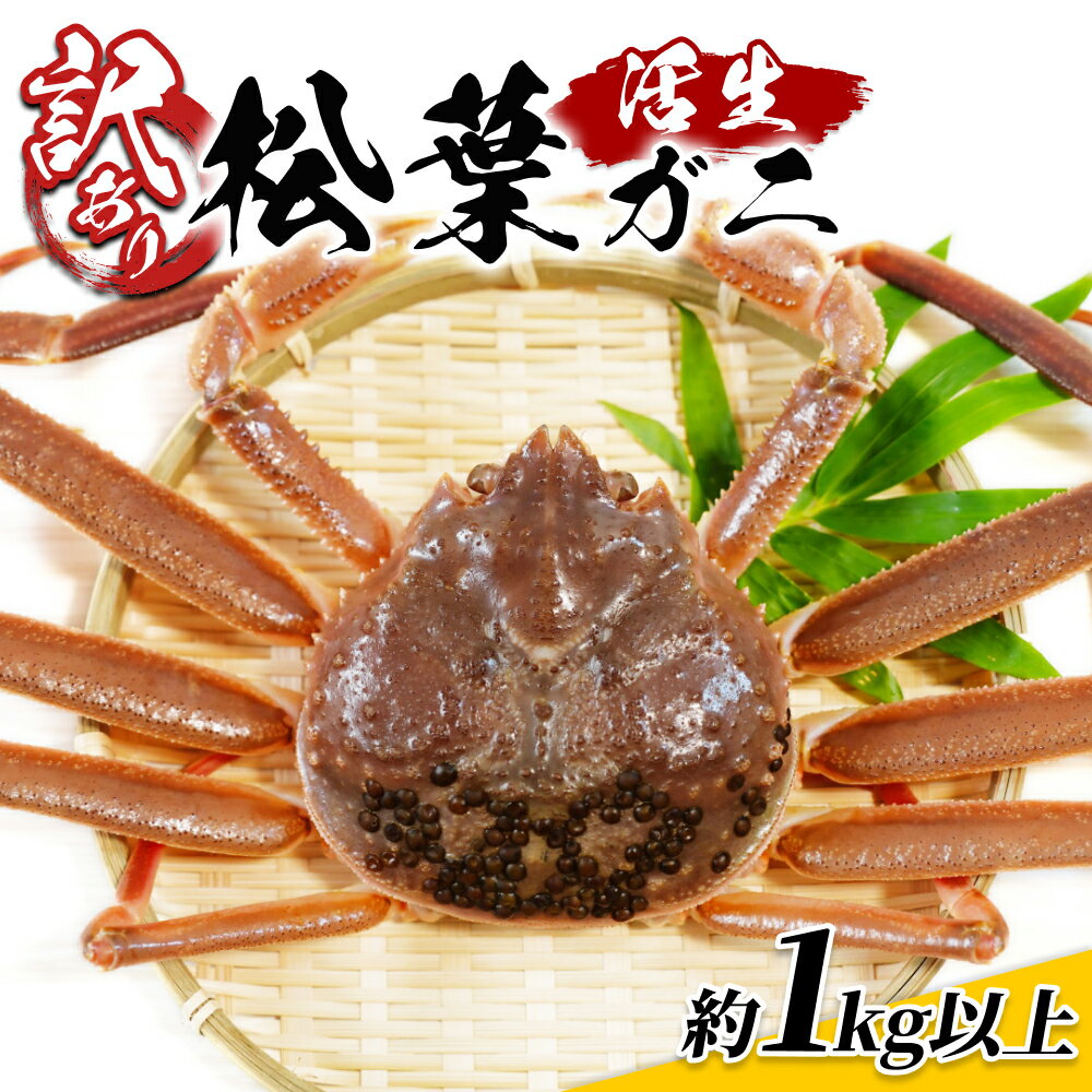 【ふるさと納税】訳あり松葉がに 1kgセット 鳥取県網代産｜鳥取県 岩美町 蟹 かに カニ 松葉がに 松葉ガニ ズワイガニ 訳あり 訳アリ 新鮮 魚介 冷蔵【22016】