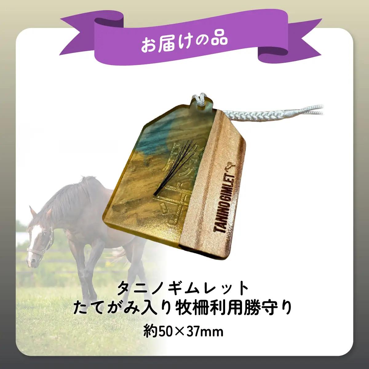 【御守り】破壊神タニノギムレットたてがみ入り牧柵利用勝守り BRTV100