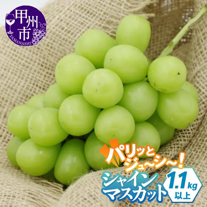 2023年先行予約 パリッとジューシー甲州市産シャインマスカット 1.2㎏以上