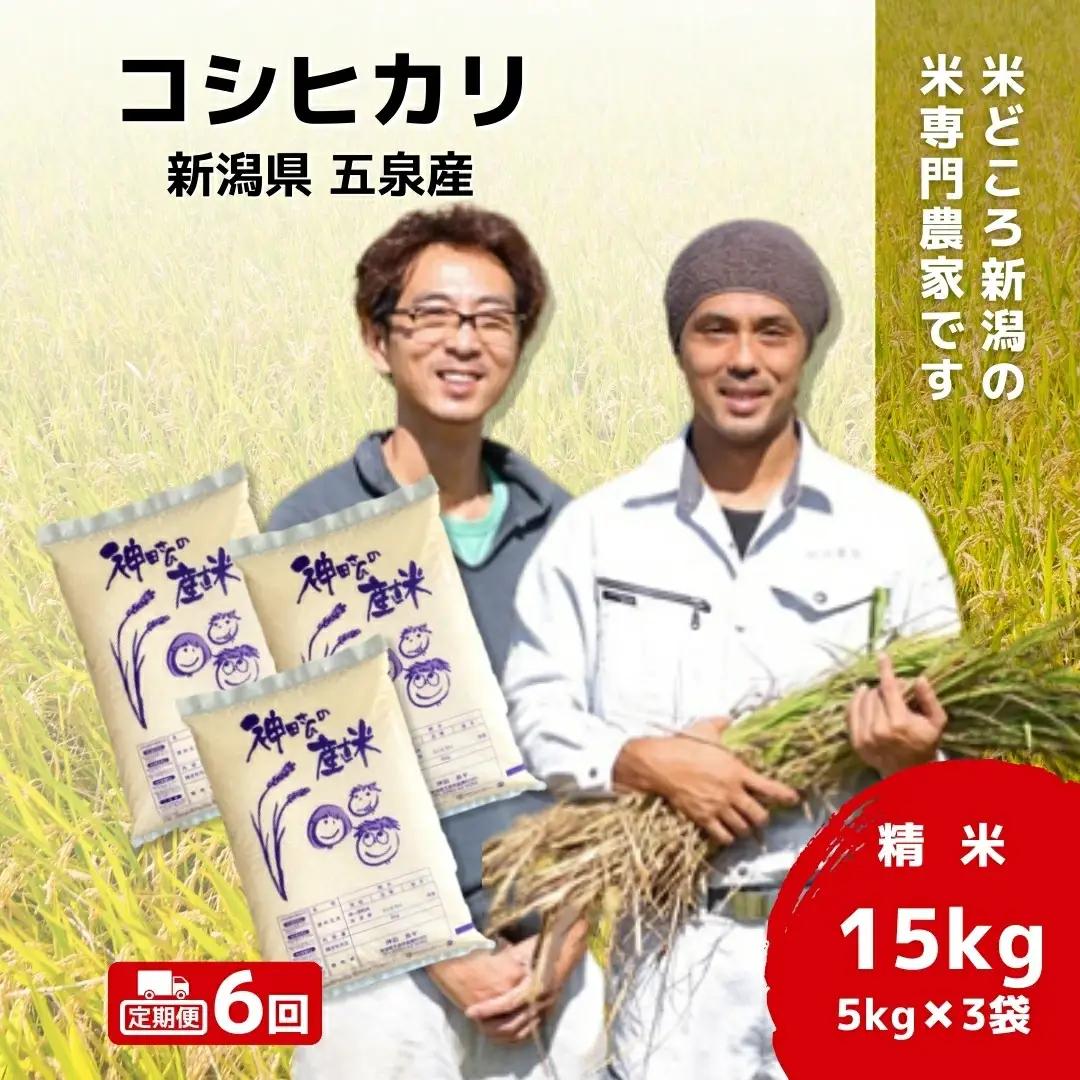 【定期便6回】コシヒカリ 15kg(5kg×3袋)×6回 わくわく農場 こしひかり | 新潟県 五泉市 コシヒカリ