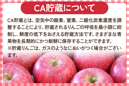 【26年5月クール便発送】りんご 王林【良品】約3kg【CA貯蔵】キタエアップル