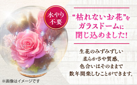 プリザーブドフラワー　ガラスドーム (ピンク) / 花 プレゼント 贈答用 ガラス 母の日 父の日 入学式 卒業式 菊陽町 熊本県【株式会社 美向】[BHDC006]