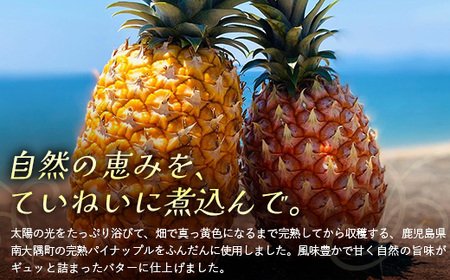 絶品！南大隅町産 【パイナップルバター】約160g× 2瓶 HB-3 ｜パイナップル バター フルーツ ジャム 加工品 スプレッド 国産 南国フルーツ 手作り 鹿児島県 南大隅町 hello! bra