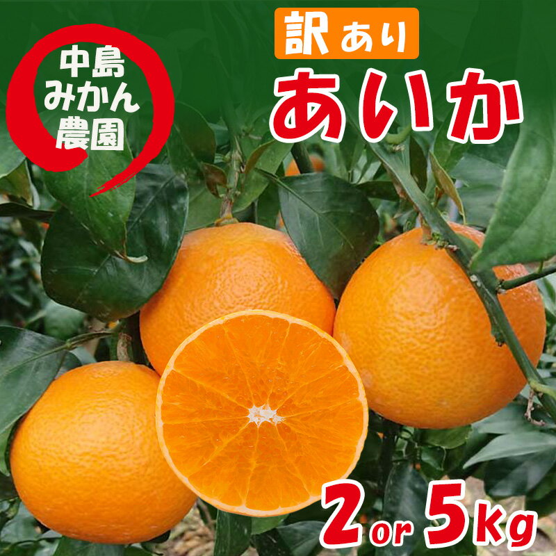 【ふるさと納税】 【2025年12月から順次発送】 愛果28号 訳あり 2kg / 5kg 中島みかん農園｜紅まどんな と同品種 みかん 愛果 蜜柑 松山市産みかん 柑橘 ミカン 蜜柑 みかん 果物 オススメみかん フルーツ あいか みかん 松山 愛媛 人気のみかん