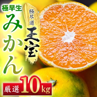 【愛媛名産】極早生みかん【雫・・小玉】 10kg【F64−24】【1510680】