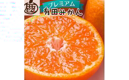 【先行予約】プレミアム有田みかん 2.5kg+250g（傷み補償分）11月より発送(完熟)【光センサー選果】※北海道・沖縄・離島配送不可 / みかん ミカン 蜜柑 フルーツ 果物 柑橘 有田みかん 有田【ikd005D】