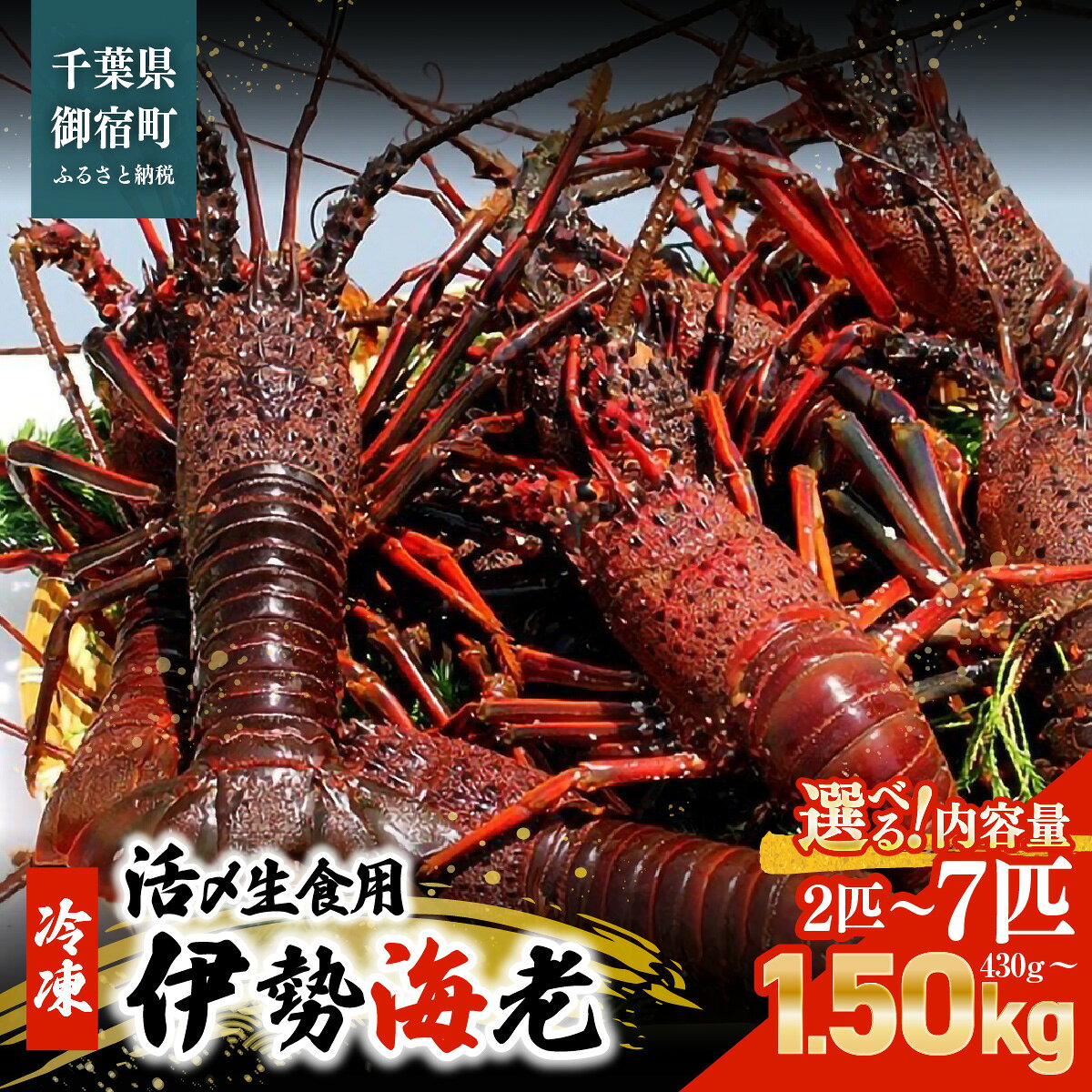 【ふるさと納税】活〆生食用伊勢海老（冷凍）1匹200～230サイズ　選べる2～7匹