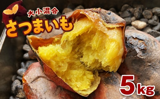 【 先行予約 】 大小混合 さつまいも 5kg | 熊本県 熊本 くまもと 和水町 なごみ いも イモ 芋 サツマイモ 紅はるか あまはづき 蜜いも 5kg 甘藷