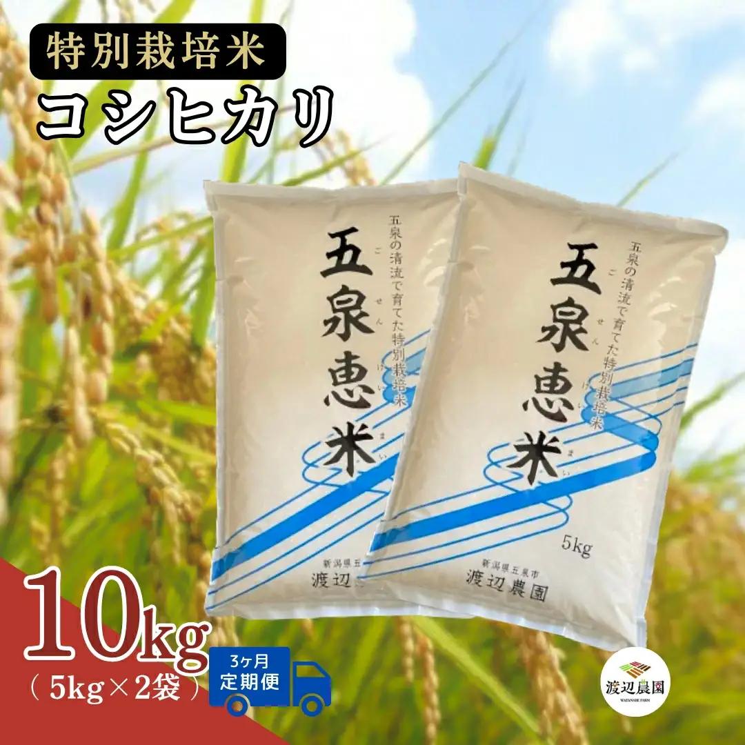 【定期便3回】令和8年産 新米 コシヒカリ 10kg(5kg×2袋)×3回 計30kg 特別栽培米 先行予約 | 新潟県産 白米 米 五泉市