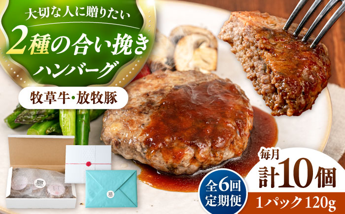 【全6回定期便】【牧草牛×放牧豚】ハンバーグ 10個《厚真町》【GOODGOOD株式会社】 ハンバーグ ギフト 牛肉 豚肉 小分け 冷凍配送 北海道 [AXBP040]