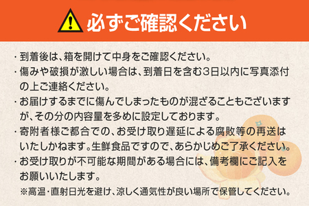 訳あり 温州みかん 計5kg以上 傷み補償分付き 期間限定 数量限定 フルーツ 果物 くだもの ミカン 柑橘 オレンジ 人気 国産 食品 デザート おやつ おすすめ 産地直送 ご家庭用 おすそ分け 特