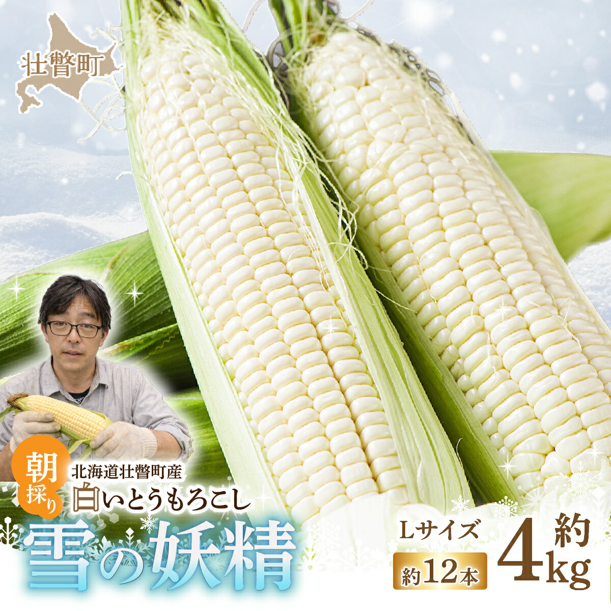 【ふるさと納税】＜2026年8月下旬よりお届け＞【朝採り】北海道壮瞥産 白いとうもろこし「雪の妖精」Lサイズ12本(約4kg) ふるさと納税 人気 おすすめ ランキング ホワイトコーン 雪の妖精 白い 白 トウモロコシ とうもろこし 野菜 甘い 北海道 壮瞥町 送料無料 SBTQ001