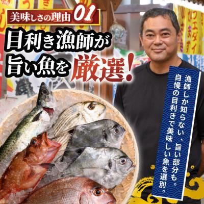 ふるさと納税 指宿市 【電子レンジで簡単調理】味つけ地魚レンジパック8Pセット(A-269) |  | 02