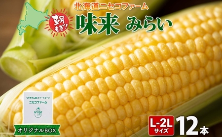 とうもろこし 北海道産 味来 大きめ とうもろこし【計12本 L-2L】