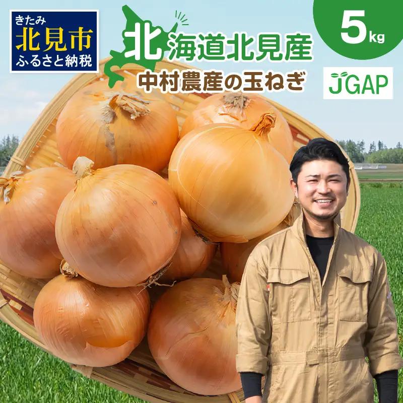 【予約：2026年10月から順次発送】北海道北見産 玉ねぎ 5kg ( 玉ねぎ 野菜 たまねぎ タマネギ 玉葱 甘い ハンバーグ 肉じゃが ふるさと納税 玉ねぎ )【002-0008-2026】