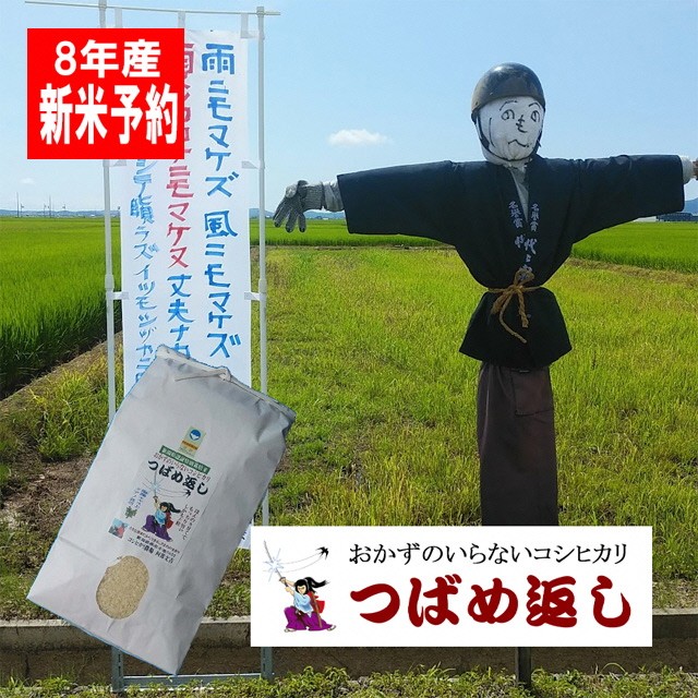 
                  【令和8年産米予約受付中】おかずのいらないコシヒカリ「つばめ返し10kg」白米3か月定期便(月イチで計3回) FC084009
                