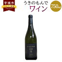 【ふるさと納税】うきのもんで ワイン 赤 750ml 1本 宇城市産 熊本県産 国産 赤ワイン お酒 フルーティー 甘い香り 送料無料