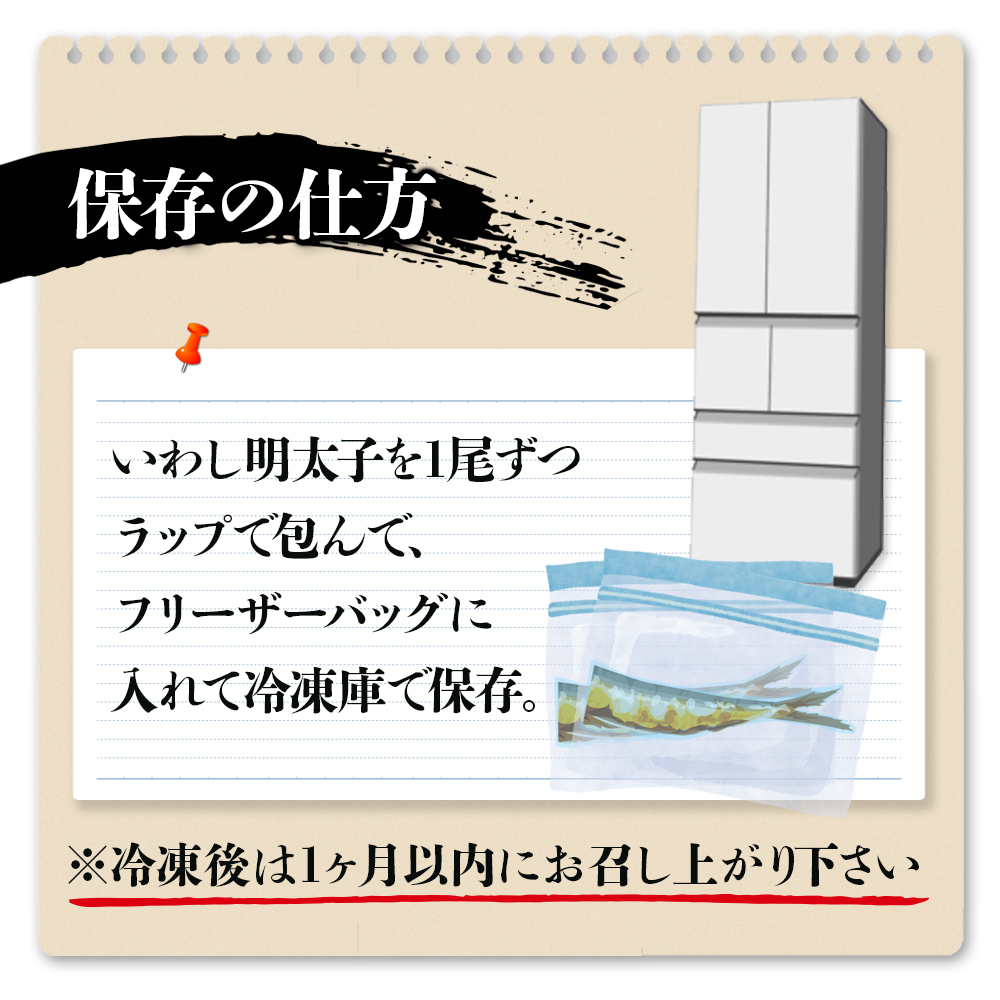 【博多漁師の里】いわし明太子２０尾（５尾×４パック）化粧箱入り