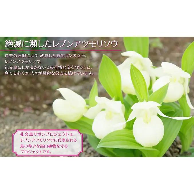 礼文産 塩水ウニ キタムラサキウニ 100g×2(ピンバッジ付) うに