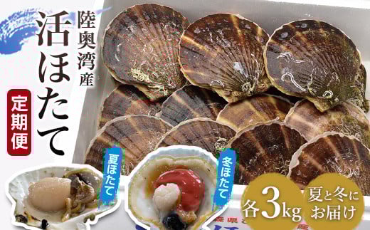 ＜定期便＞夏と冬 旬の活ほたて 食べ比べ 各３kg【平内町漁業協同組合】 ホタテ ほたて 帆立 活ホタテ 生ほたて 貝 貝柱 殻付き ほたて広場 魚介 青森 青森県 東北 むつ湾 陸奥湾 漁協 海鮮 BBQ バーベキュー F21J-165