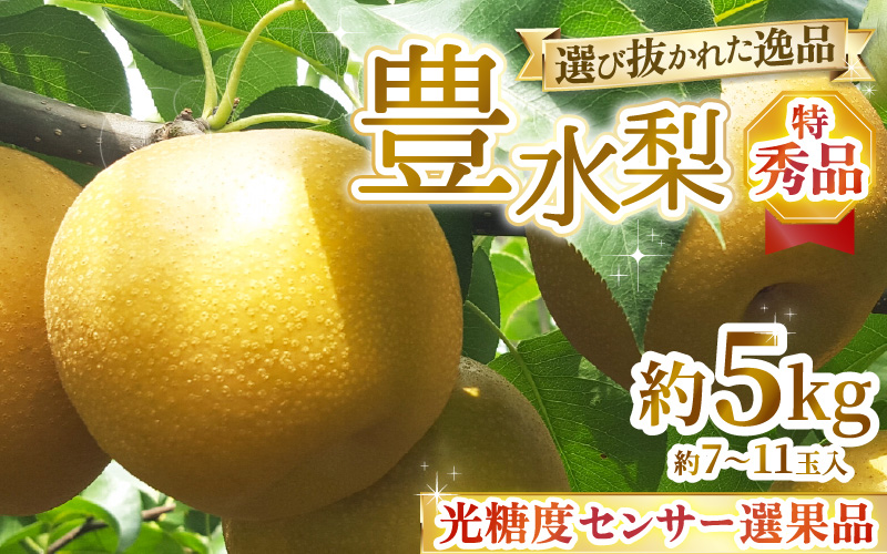 【先行予約】上野梨園の特選大玉 豊水梨『特秀品』選び抜かれた逸品 5kg 光糖度センサー選果品 梨園直送！ / 期間限定 果物 フルーツ 農家直送 シャキシャキ もぎたて 旬 お取り寄せ ※2026年9月上旬より順次発送 [aw077-b002]